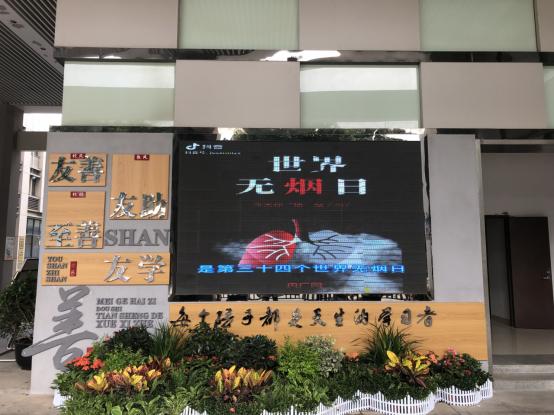 南京市东山小学红会开展世界无烟日宣传活动 (2)