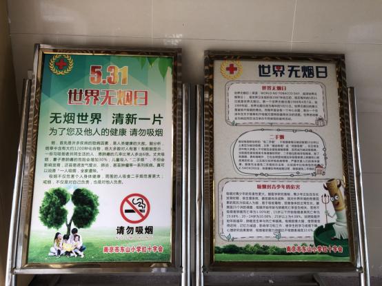 南京市东山小学红会开展世界无烟日宣传活动 (1)