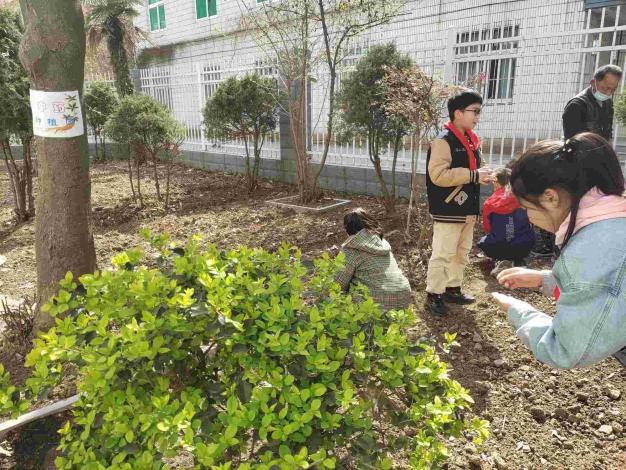校园种植区环境评估